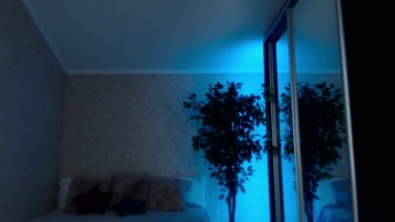 Shy_Hott1e  02-08-2021